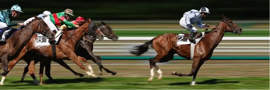 Horse Racing